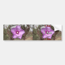 I Am Who I Am Says I Am Bumpersticker Bumper Stickers