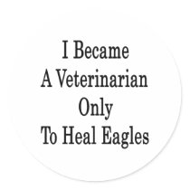 I Became A Veterinarian Only To Heal Eagles