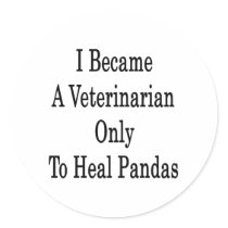 I Became A Veterinarian Only To Heal Pandas