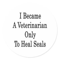 I Became A Veterinarian Only To Heal Seals