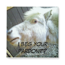 I beg your pardon?? fridge magnet
