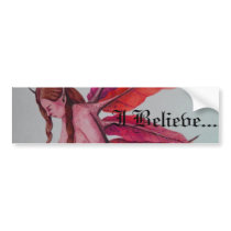 I Believe....... bumper stickers