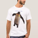 I believe I can fly t-shirts by plasticpenguin I believe I can fly t-shirts