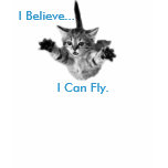 I believe I can fly t-shirts