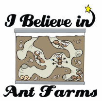 i believe in ant farms photo sculpture