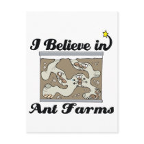 i believe in ant farms post cards