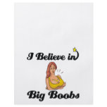 i believe in big boobs flyers