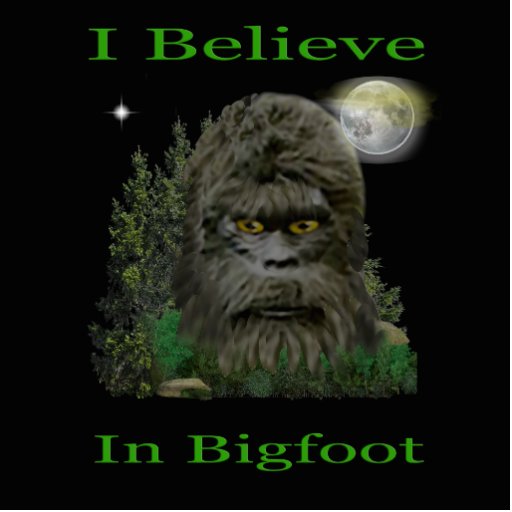 I believe in Bigfoot Photo Sculpture Keychain | Zazzle