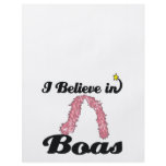 i believe in boas flyers