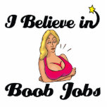 i believe in boob jobs photo sculptures