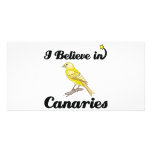 i believe in canaries