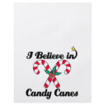 i believe in candy canes flyer