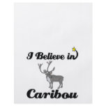 i believe in caribou flyers