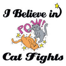 i believe in cat fights photo sculpture