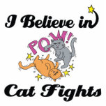 i believe in cat fights photo sculpture