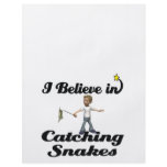 i believe in catching snakes flyers