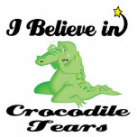 i believe in crocodile tears photo sculpture