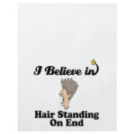 i believe in hair standing on end flyers