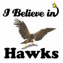 i believe in hawks photo sculptures