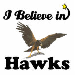 i believe in hawks photo sculptures