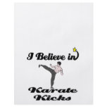 i believe in karate kicks flyers