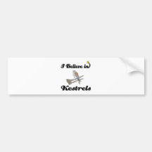 i believe in kestrels bumper stickers