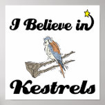 i believe in kestrels print