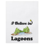i believe in lagoons flyers