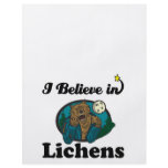 i believe in lichens full color flyer