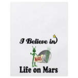 i believe in life on mars flyers