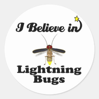 i_believe_in_lightning_bugs_sticker-rf0df2647ea7d4894b8b22671a3ad80ae_v9waf_8byvr_324.jpg