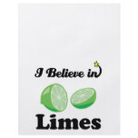 i believe in limes flyers