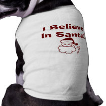 I Believe In Santa pet clothing