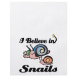 i believe in snails flyers