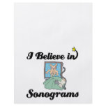 i believe in sonograms flyers