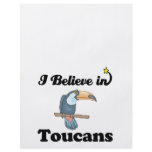 i believe in toucans flyers