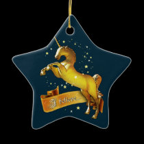 I believe in Unicorns ornaments