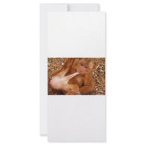 I bet you can't do this rack cards