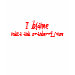 Ladies Destroyed T-Shirt