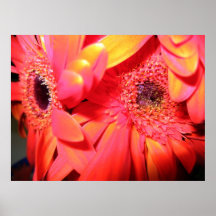 I Bought Myself Some Flowers Poster