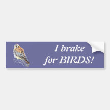 I brake for Birds - Birding Kestrel Watercolor Bumper Stickers