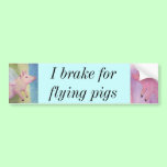 I brake for flying pigs Piggies Bumper Sticker bumper stickers