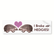 I Brake for HEDGIES! Save Hedgehogs Bumpersticker bumper stickers