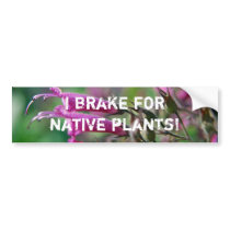 I brake for native plants - Bumper sticker bumper stickers