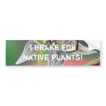 I brake for native plants - Bumper sticker bumper stickers