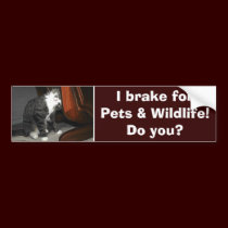 "I BRAKE FOR PETS..." Bumper Sticker bumper stickers