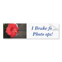 I Brake for Photo ops! bumper stickers