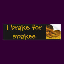I brake for snakes bumper stickers