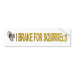 I Brake For Squirrels bumper stickers
