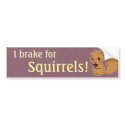 I Brake for Squirrels Bumper Sticker bumper stickers by Customizables I Brake for Squirrels Bumper Sticker bumper stickers
